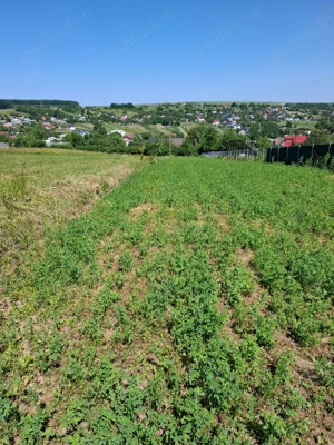 Teren intravilan in Mun. Suceava pe Str. Stefan Luchian