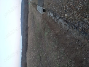 Vand parcela teren 800 m cu 10000 lac Surduc  - imagine 2