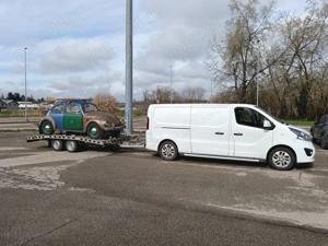 Transport auto - moto  și marfă 