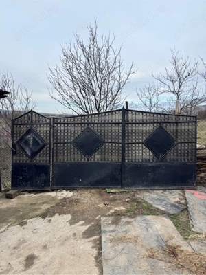 Poartă din fier Necesită vopsire      