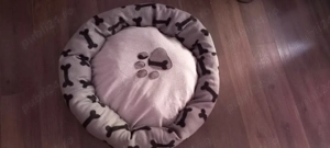 Vând lucruri pentru căței talie mica la prețul de 70 lei ambele lucruri 