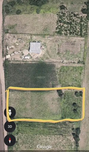 Teren Filesti - imagine 4