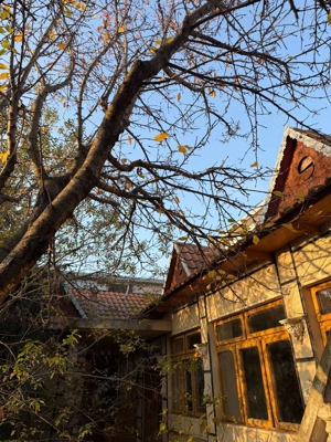 Casa Cerna, Tulcea - imagine 2