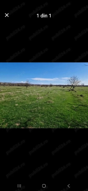 Livada de vanzare - imagine 2