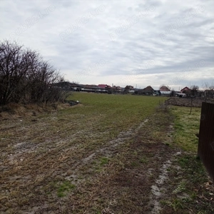 Teren intravilan -pret imbatabil -25 euro mp - imagine 2