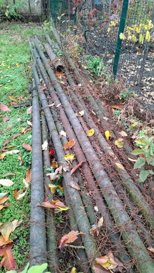 teava tubing - imagine 3