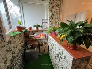 Garsoniera zona PIata Minis - Barajul Uzului - imagine 5