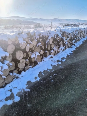 lemne de foc carpen esenta tare  - imagine 3