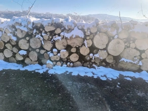 lemne de foc carpen esenta tare 