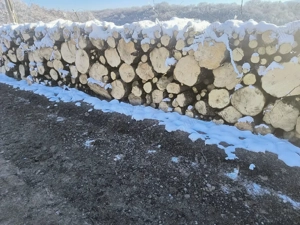 lemne de foc carpen esenta tare  - imagine 2