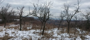 Vand teren Călinești, la numai 9 km de centrul Mun. Pitesti - imagine 4