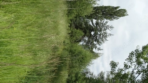 Vand teren construibil in statiunea Solotvino, Ucraina - imagine 7