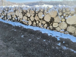 vand lemne de foc esenta tare carpen 