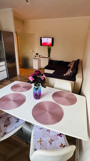 SHoliday Apartments Regim Hotelier Dumbravita Kaufland - imagine 8