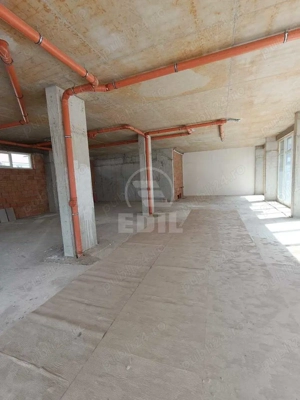 Spatiu comercial, zona Terra - imagine 8