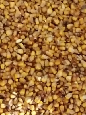 vând mălai (porumb)