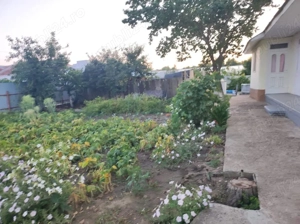 Casa bătrânească, cu teren generos 3500 m2 - imagine 2