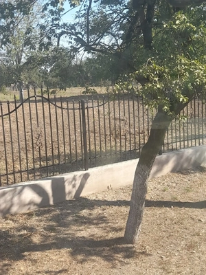 Vând teren intravilan  - imagine 5