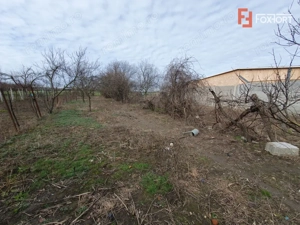 Casa de vanzare cu 3 camere si teren de 1008 mp - Deta - imagine 17