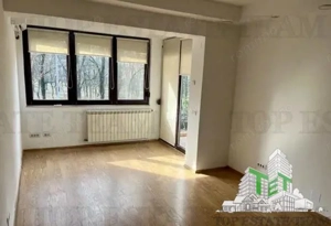 Vila cu 7 camere de închiriat în Floreasca - imagine 13