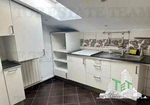 Vila cu 7 camere de închiriat în Floreasca - imagine 4