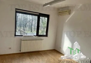 Vila cu 7 camere de închiriat în Floreasca - imagine 12