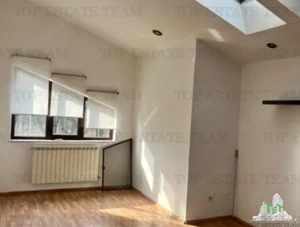 Vila cu 7 camere de închiriat în Floreasca - imagine 11