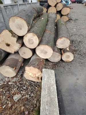 lemne de foc esente tari  - imagine 2