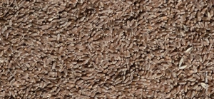 Vând grâu de calitate.  - imagine 3