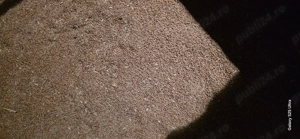 Vând grâu de calitate.  - imagine 2