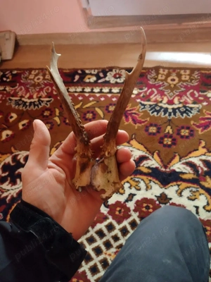 Vand Pereche  Cornite Cpr originale