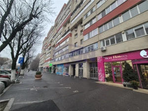 APARTAMENT SUPERB 3 CAM,  PIATA SUDULUI OBREGIA - imagine 6