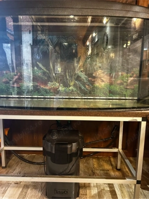 Acvariu panoramic  - imagine 4