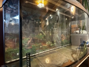 Acvariu panoramic  - imagine 2