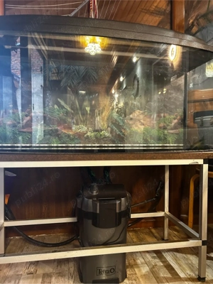 Acvariu panoramic  - imagine 5