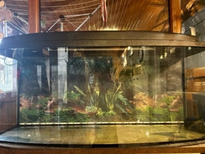 Acvariu panoramic  - imagine 3