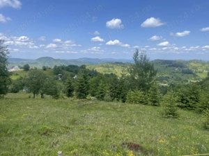 Vand teren in satul Rogojel, lângă Vladeasa in suprafața de 4900 mp la 20 euro mp - imagine 4