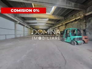 Hală industrială pentru producție sau depozitare în Târgu Jiu, Aleea Macului