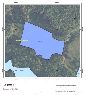 teren _ 22300mp_brasov_tarlungeni_valea zizinului - imagine 5