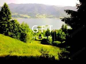 Terenuri intravilan, 6300 mp, Colibita. Oportunitate buna de investitie!