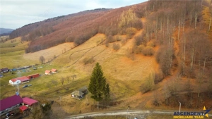 Teren la poalele padurii,Buzaiel,Vama Buzaului,DJ,constructie +utilitati,Brasov - imagine 10