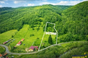 Teren la poalele padurii,Buzaiel,Vama Buzaului,DJ,constructie +utilitati,Brasov