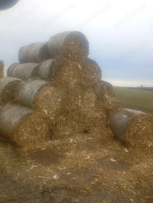 Vând baloți de tocătură  - imagine 2