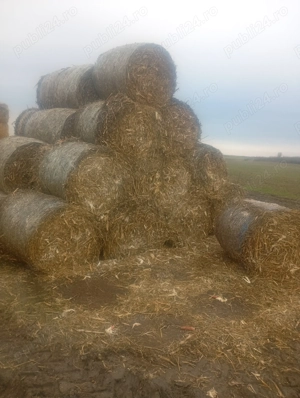 Vând baloți de tocătură 