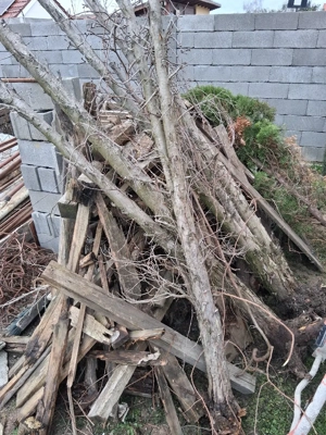 Vand 15 europaleti si lemne pentru foc