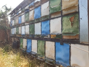 Vand utilaje agricole: - imagine 7