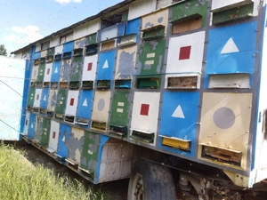 Vand utilaje agricole: - imagine 8