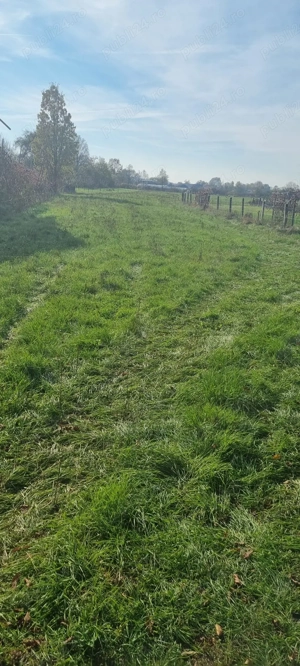 Vand teren intravilan - imagine 5