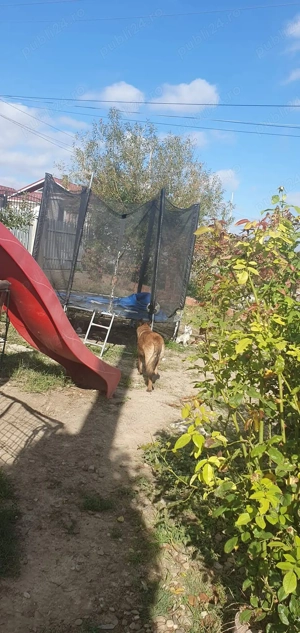 Vând casa proprietate! - imagine 4