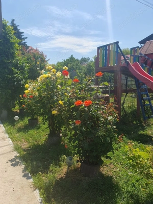 Vând casa proprietate!